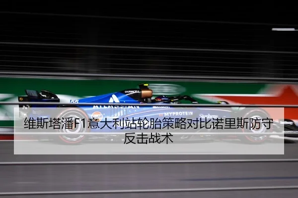 维斯塔潘F1意大利站轮胎策略对比诺里斯防守反击战术