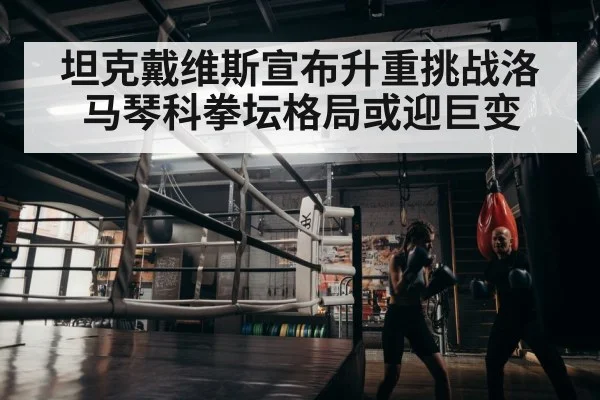 boxer training workout