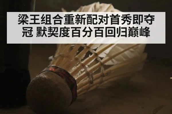 梁王组合重新配对首秀即夺冠 默契度百分百回归巅峰