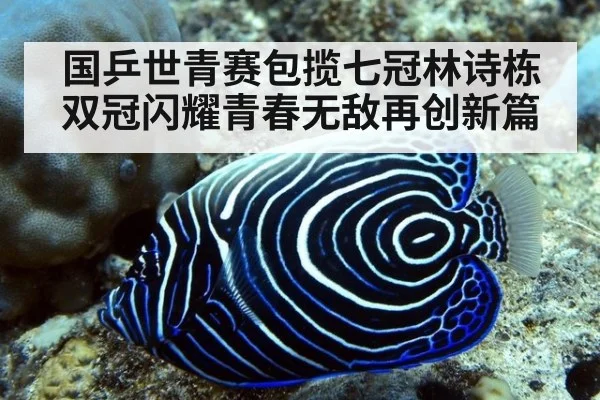 国乒世青赛包揽七冠林诗栋双冠闪耀青春无敌再创新篇